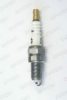 KTM 59039093100 Spark Plug